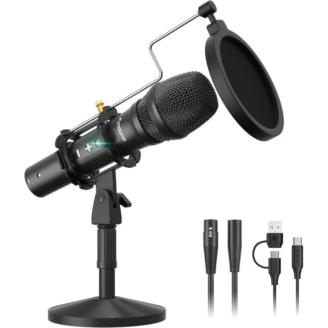 MIC 300317